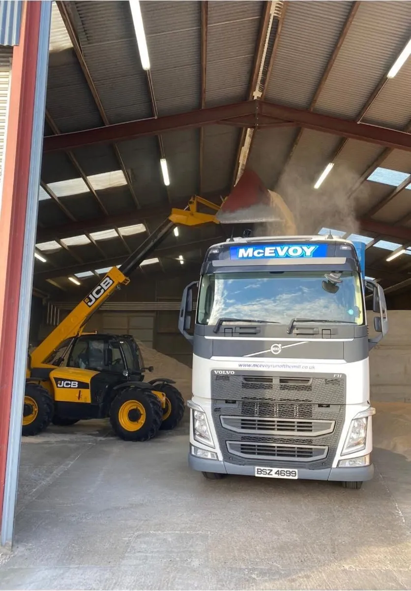 White Sawdust in Bulk Delivered - Image 2
