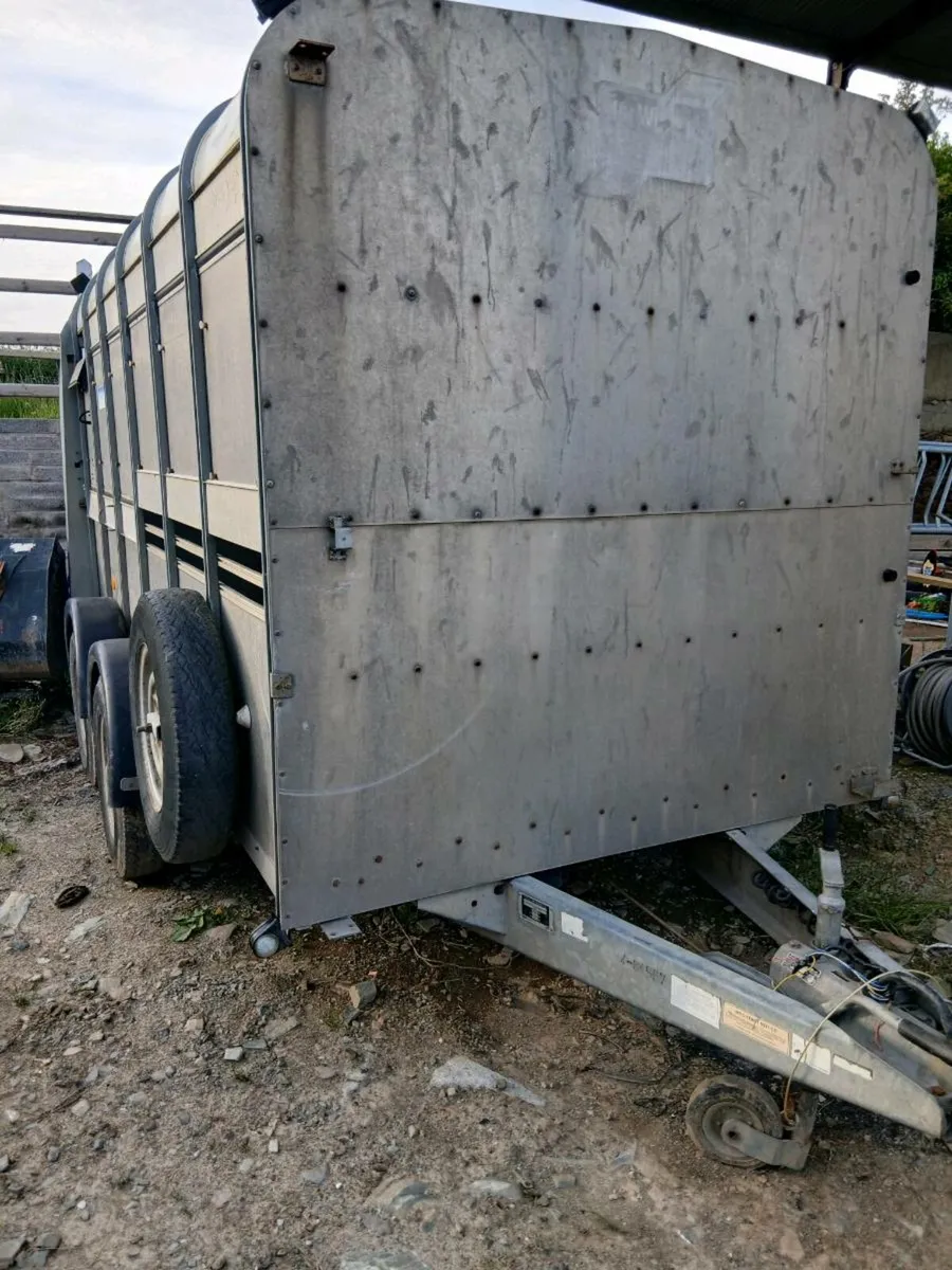 .cattle trailer - Image 1