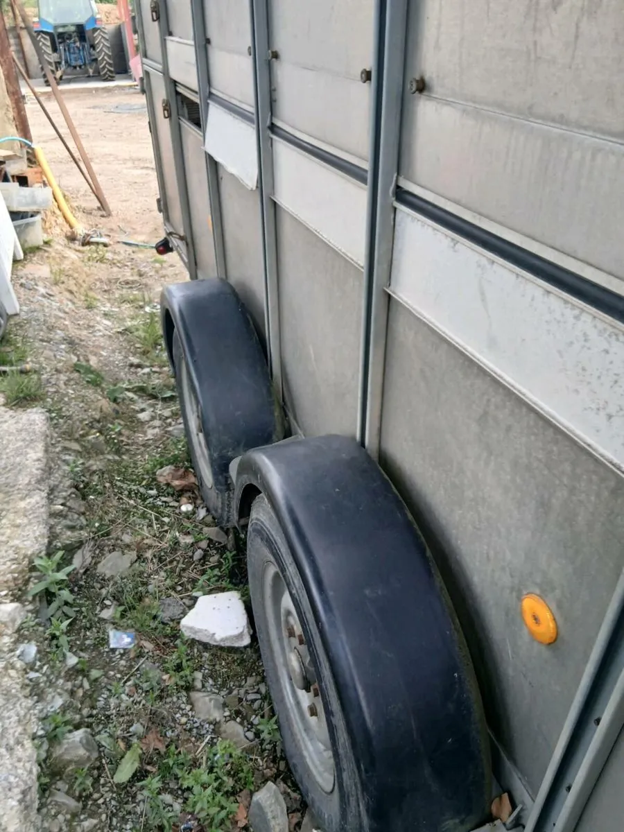 .cattle trailer - Image 3