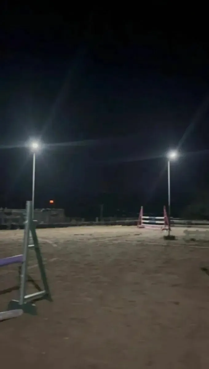 Solar Street Light with Motion Sensor - Image 3