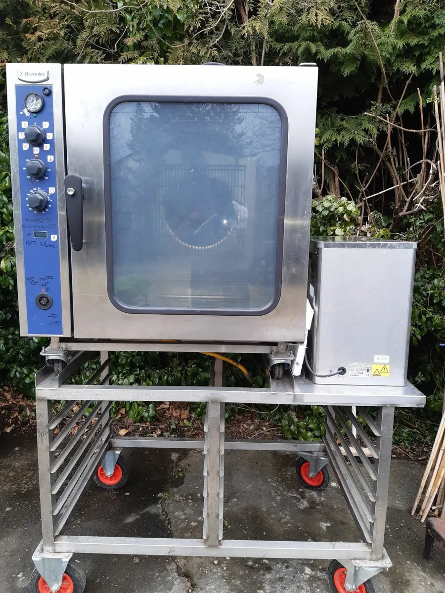 Commercial Electrolux 260701 convection oven gas - Image 1