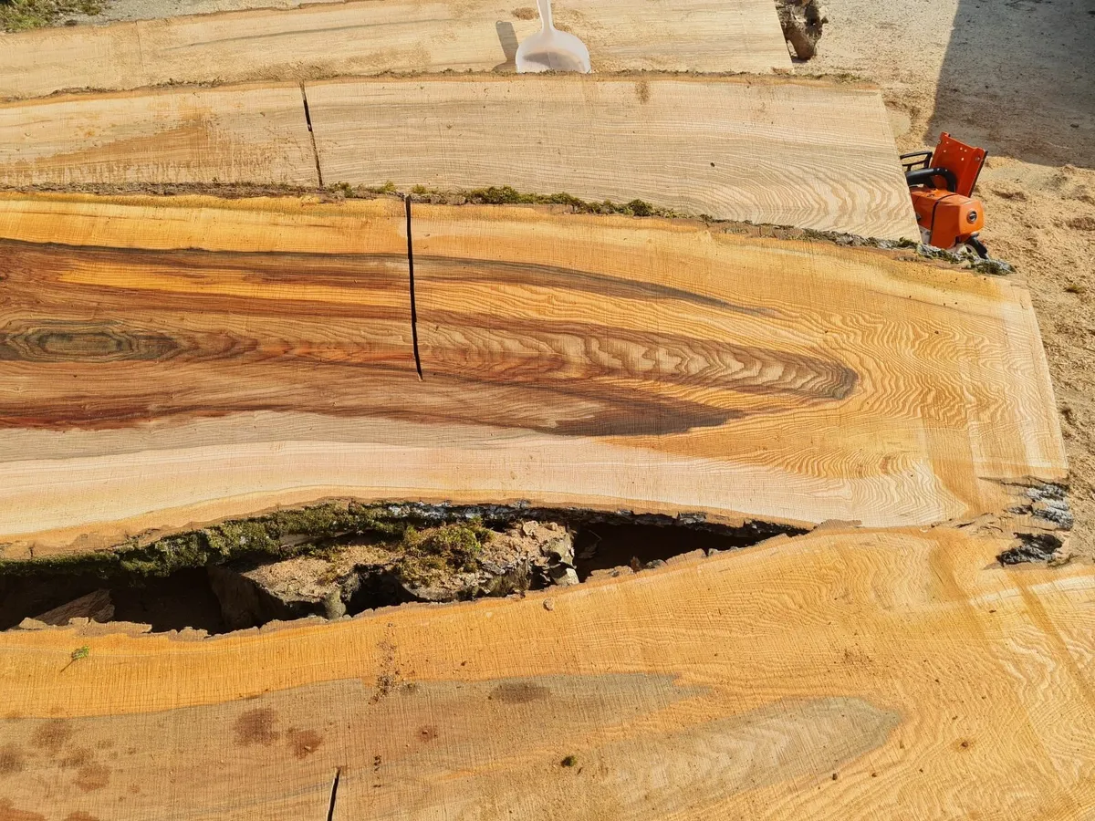 Planks of hardwood timber - Image 4