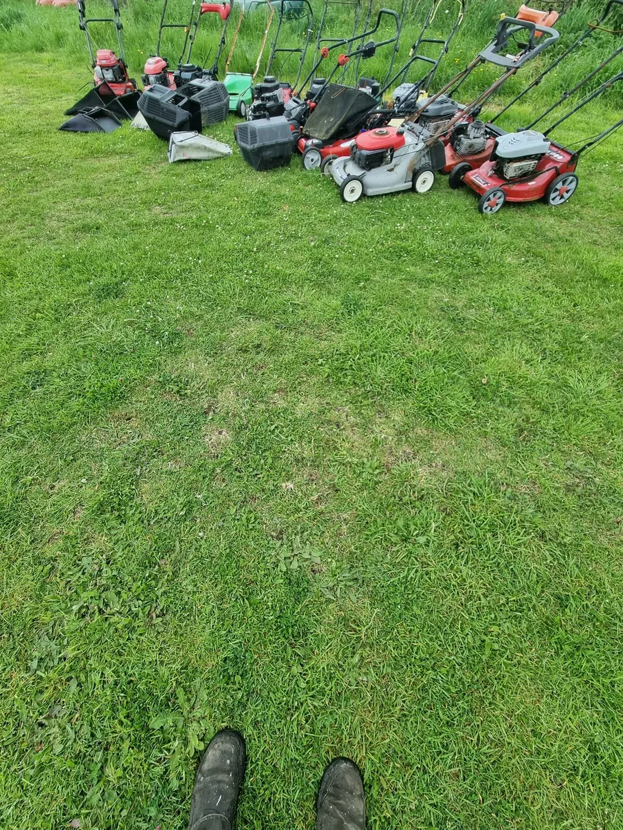 Job lot of lawnmowers for sale - Image 1