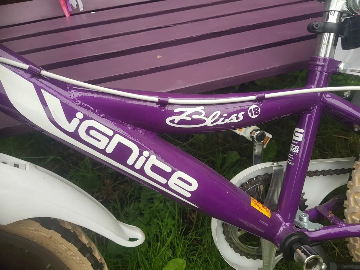 Children’s Bicycle for Sale – Ignite Bliss 18 - Image 2
