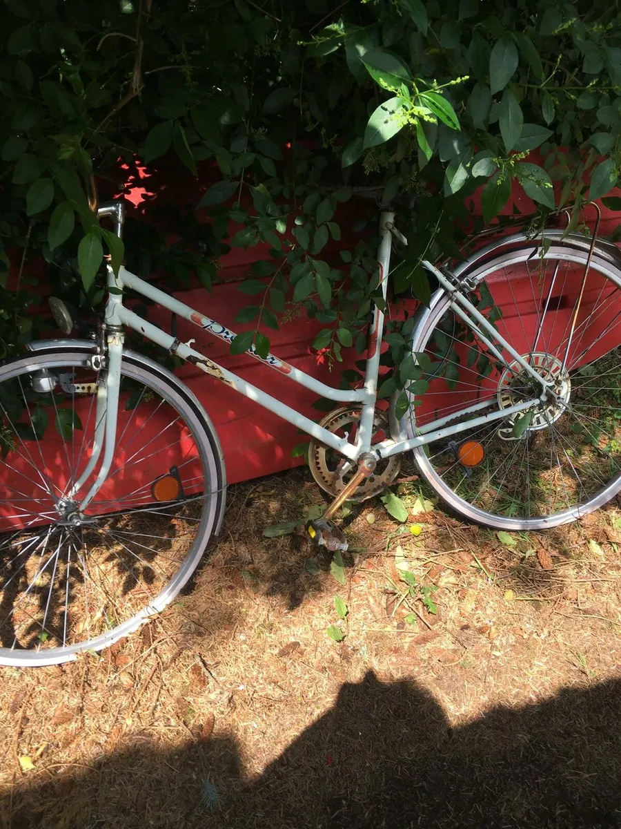 Ladies Bike