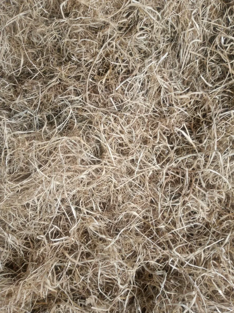 Haylage - Image 2