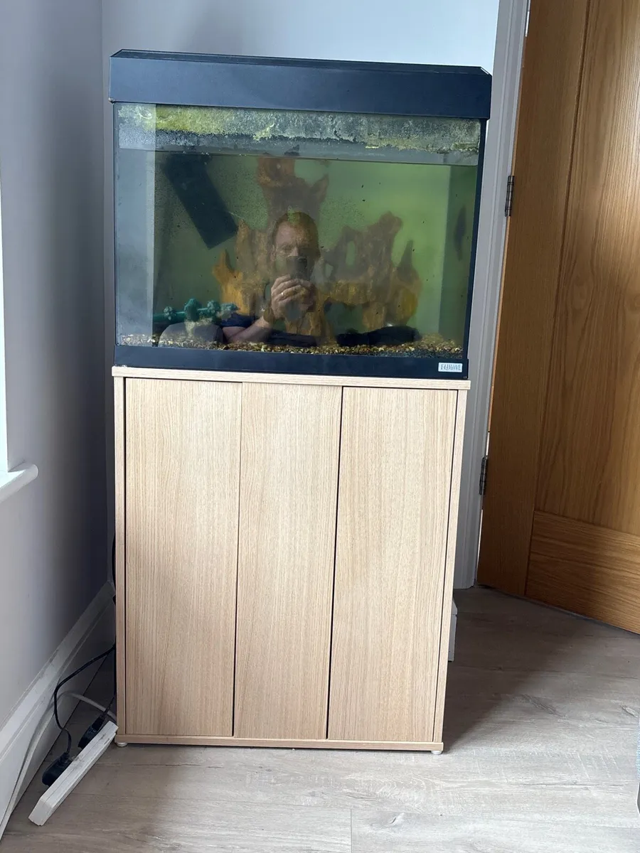 Fish tank