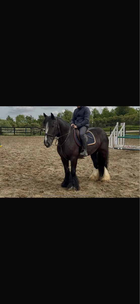 Bombproof allrounder - Image 1