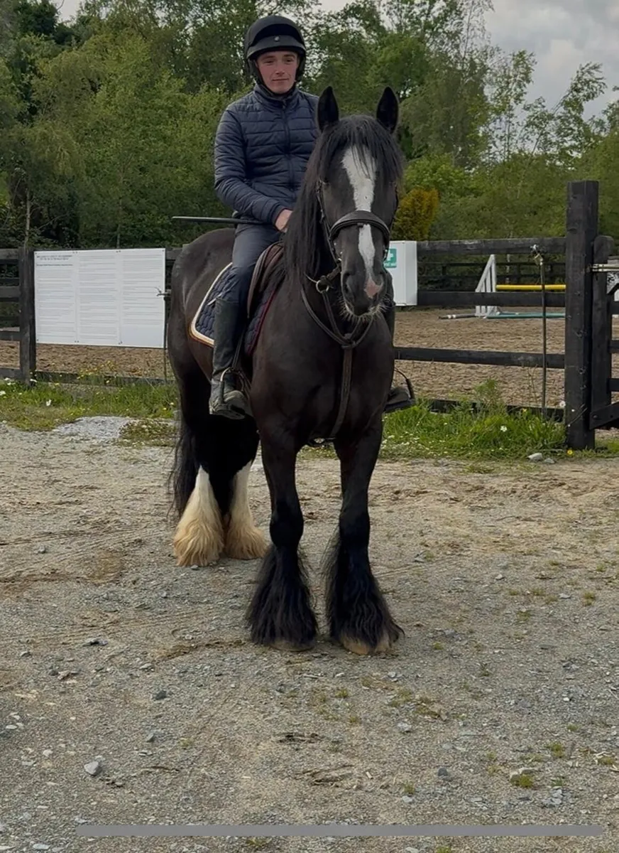 Bombproof allrounder - Image 4