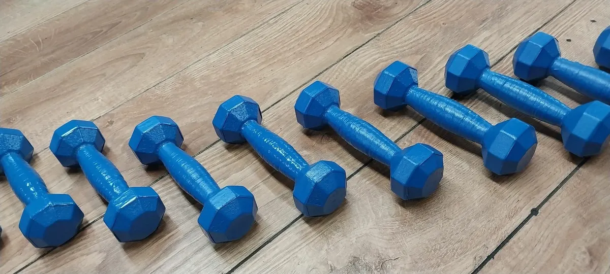 Weights 1kg - Image 2
