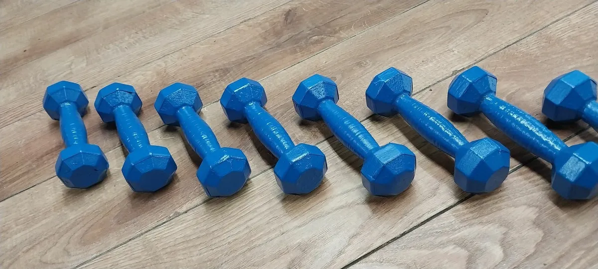 Weights 1kg - Image 3