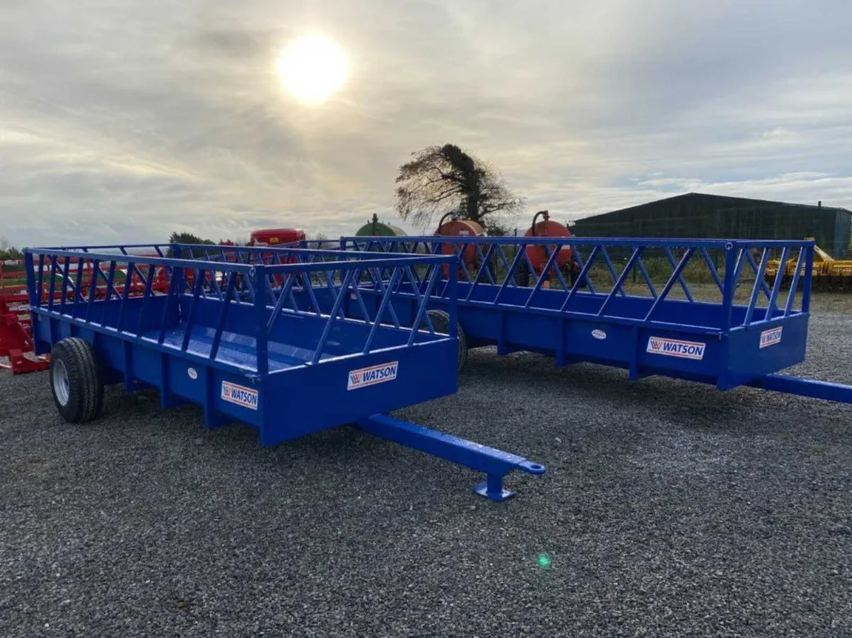 Watson 16ft Tomnstone Feed Trailer - Image 3