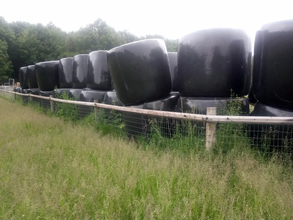Haylage - Image 1