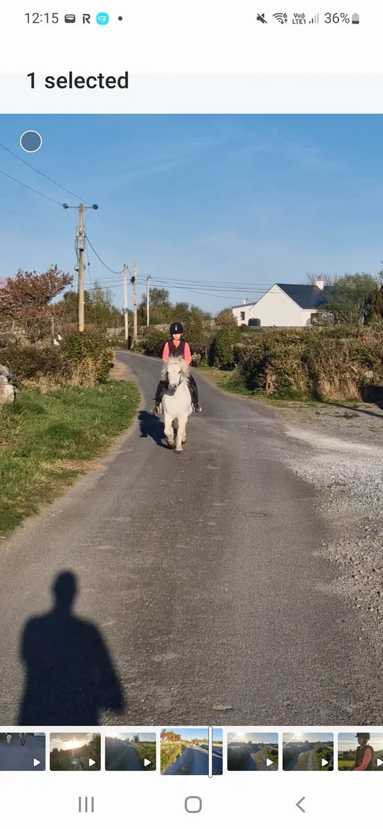 Beginner's pony - Image 2