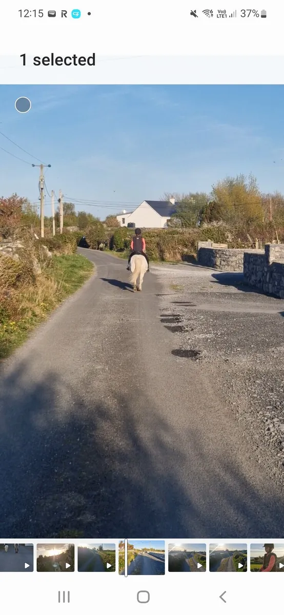 Beginner's pony - Image 4