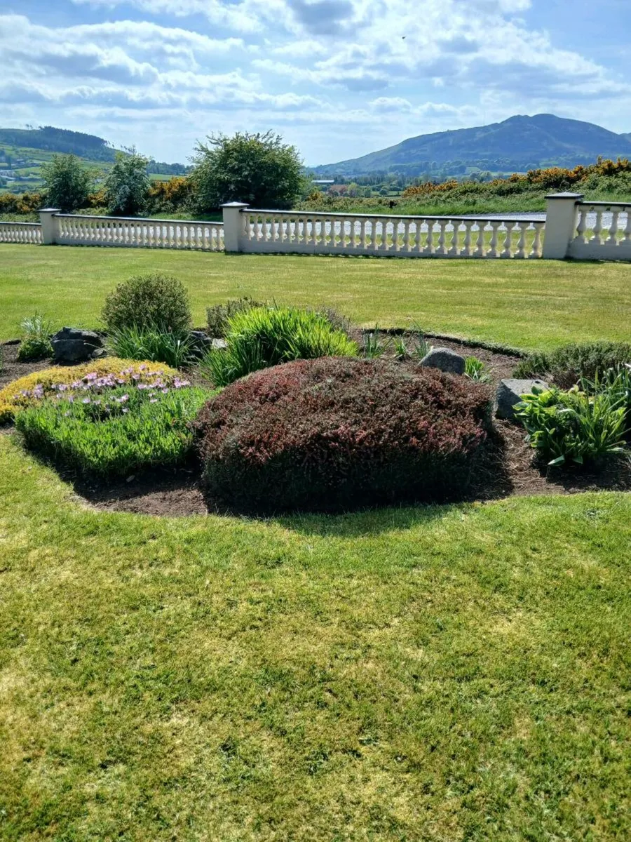 Garden maintanence servives - Image 1
