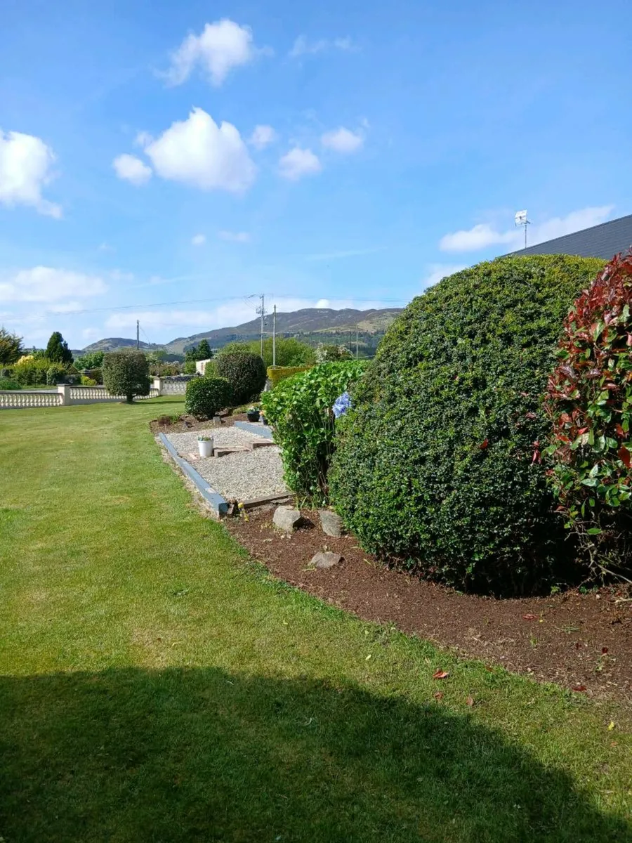Garden maintanence servives - Image 3