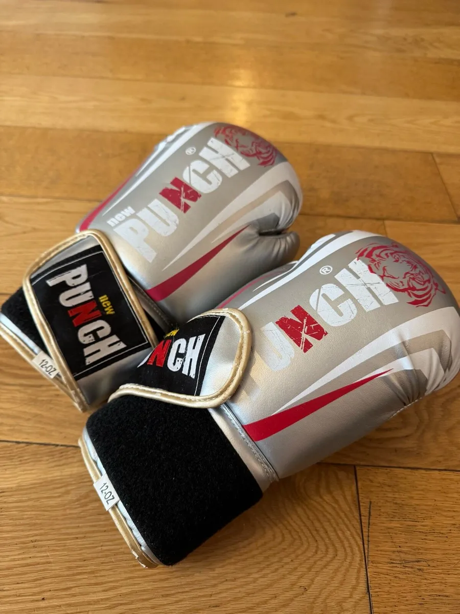 Boxing Gloves 12oz - Image 1