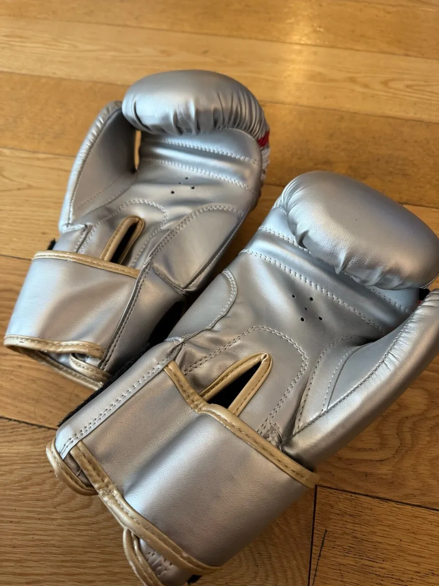 Boxing Gloves 12oz - Image 2