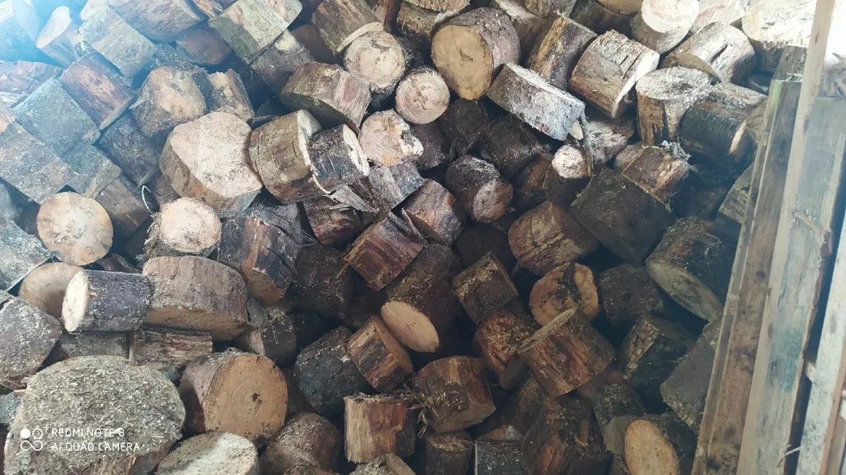 FIRE LOGS,   Irish Fire Logs: Sustainable, - Image 1