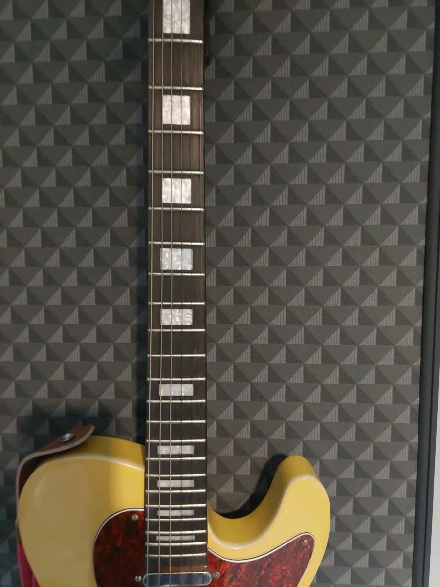 Semi Hollow Telecaster swap - Image 4