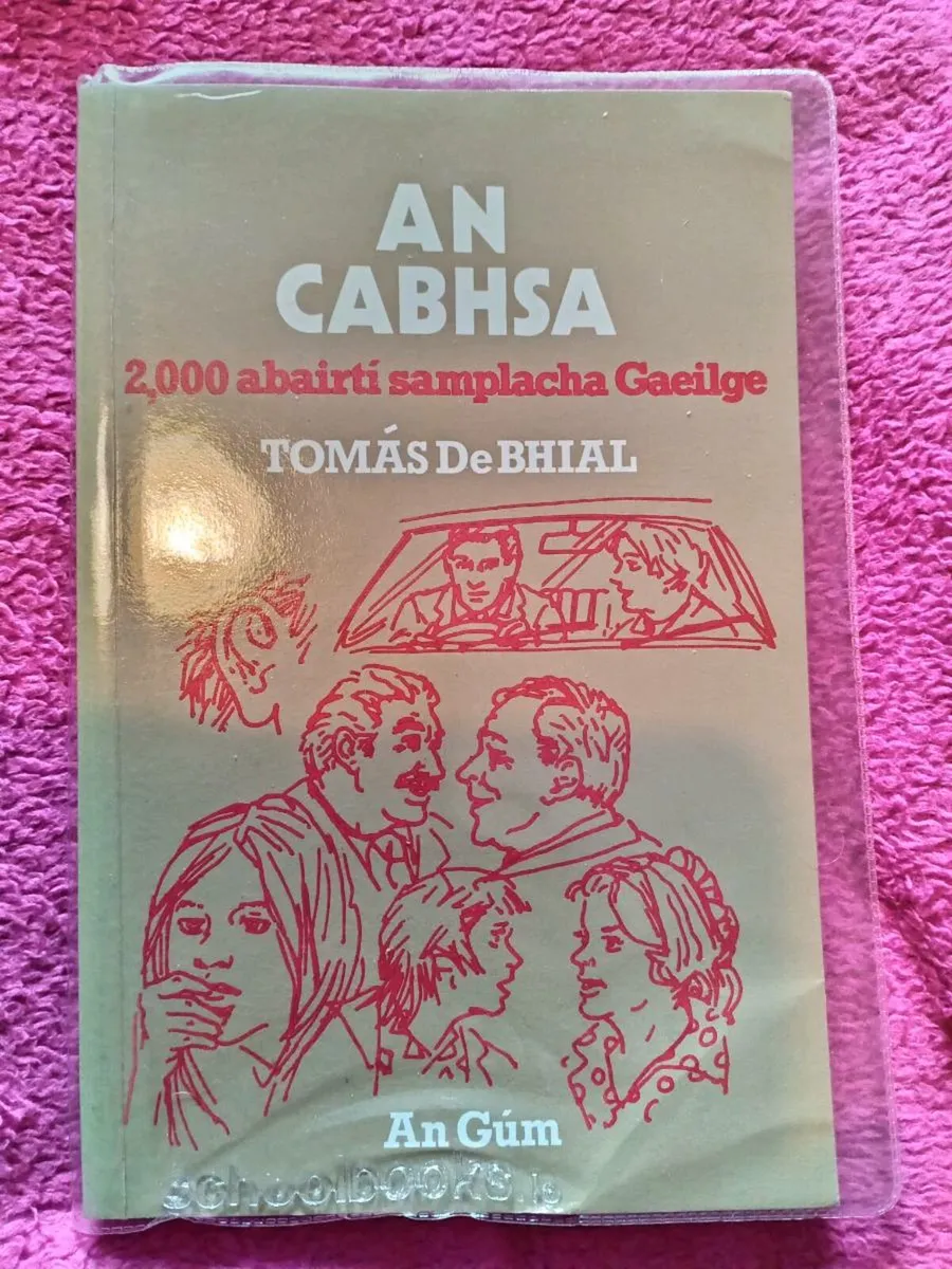 Irish Grammar/Verb Books - Image 3