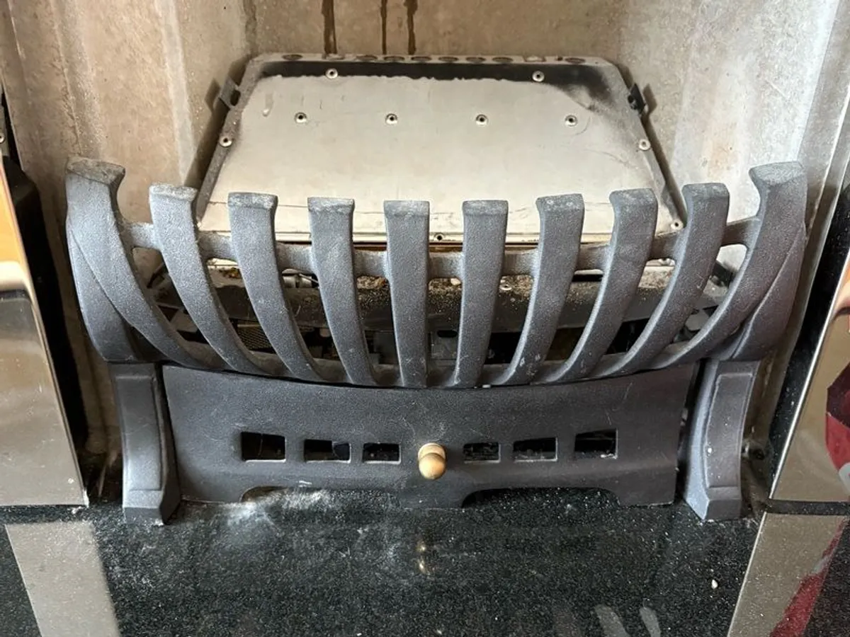 Gas fire (coals also included)