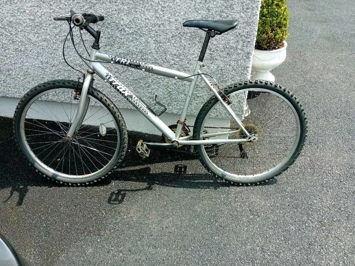 Adult  bike - Image 1