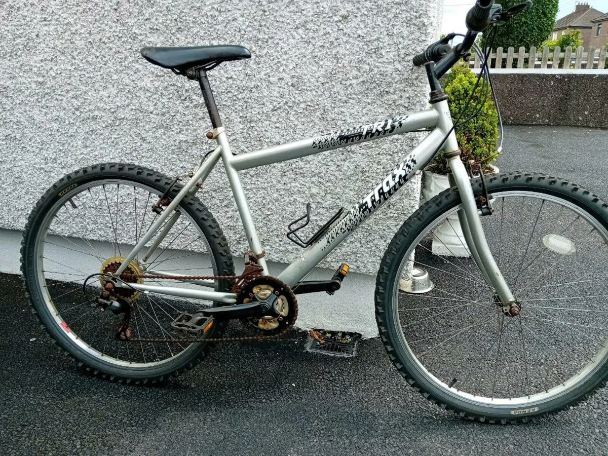 Adult  bike - Image 2