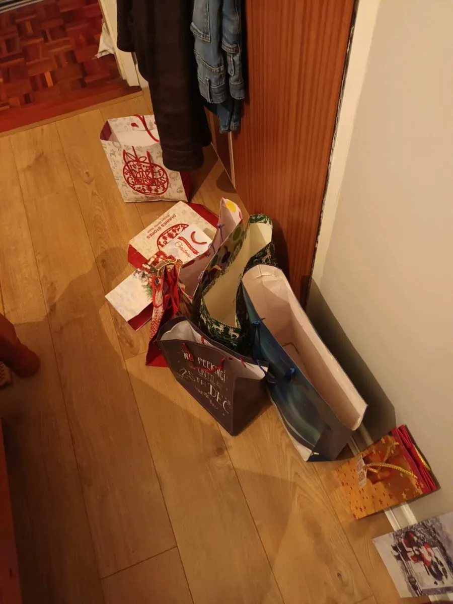 Gift Bag Lot - Image 1