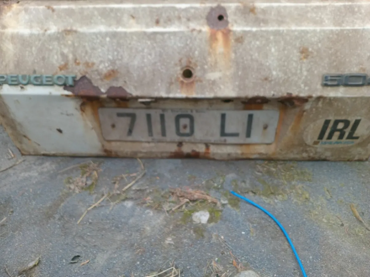 Peugeot 504 back door - Image 2