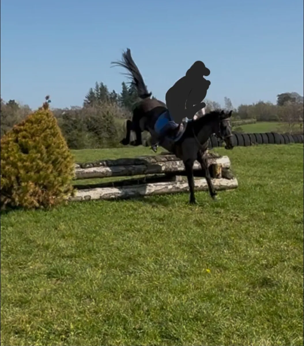 Jumping pony - Image 4