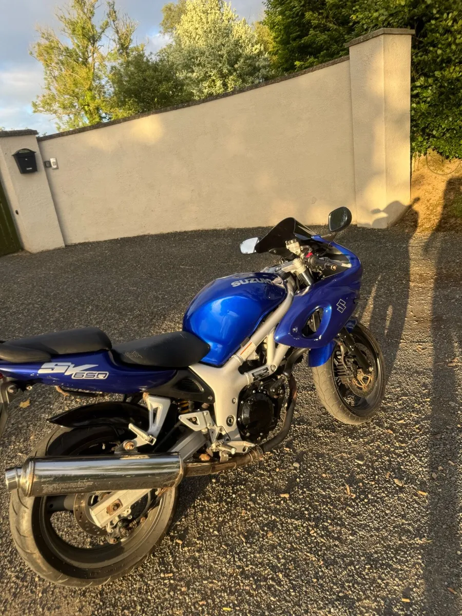 Suzuki - Image 3