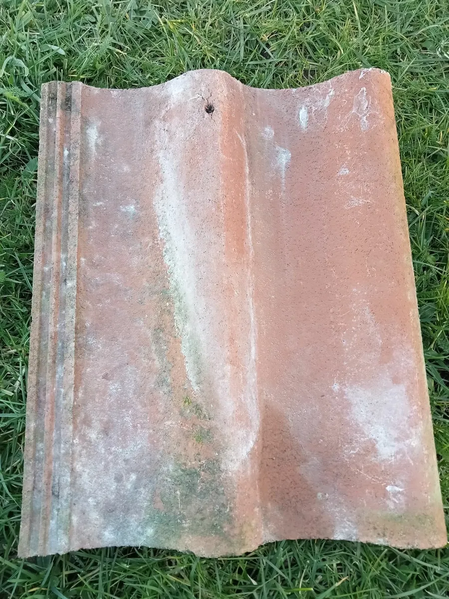 Red brick (100 pieces) - Image 2