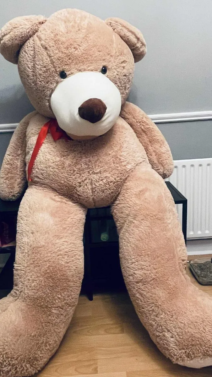 Teddy Bear