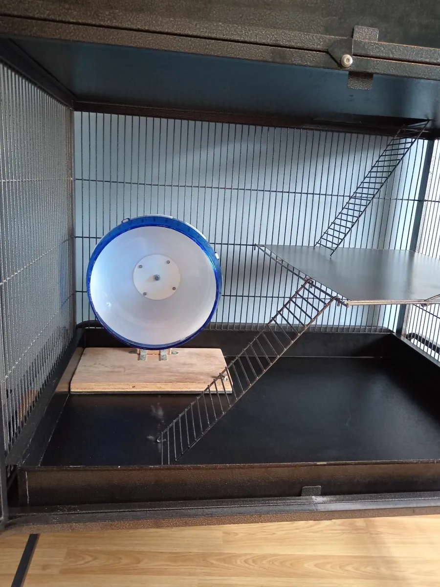 Large Cage for Small Animals - Image 4