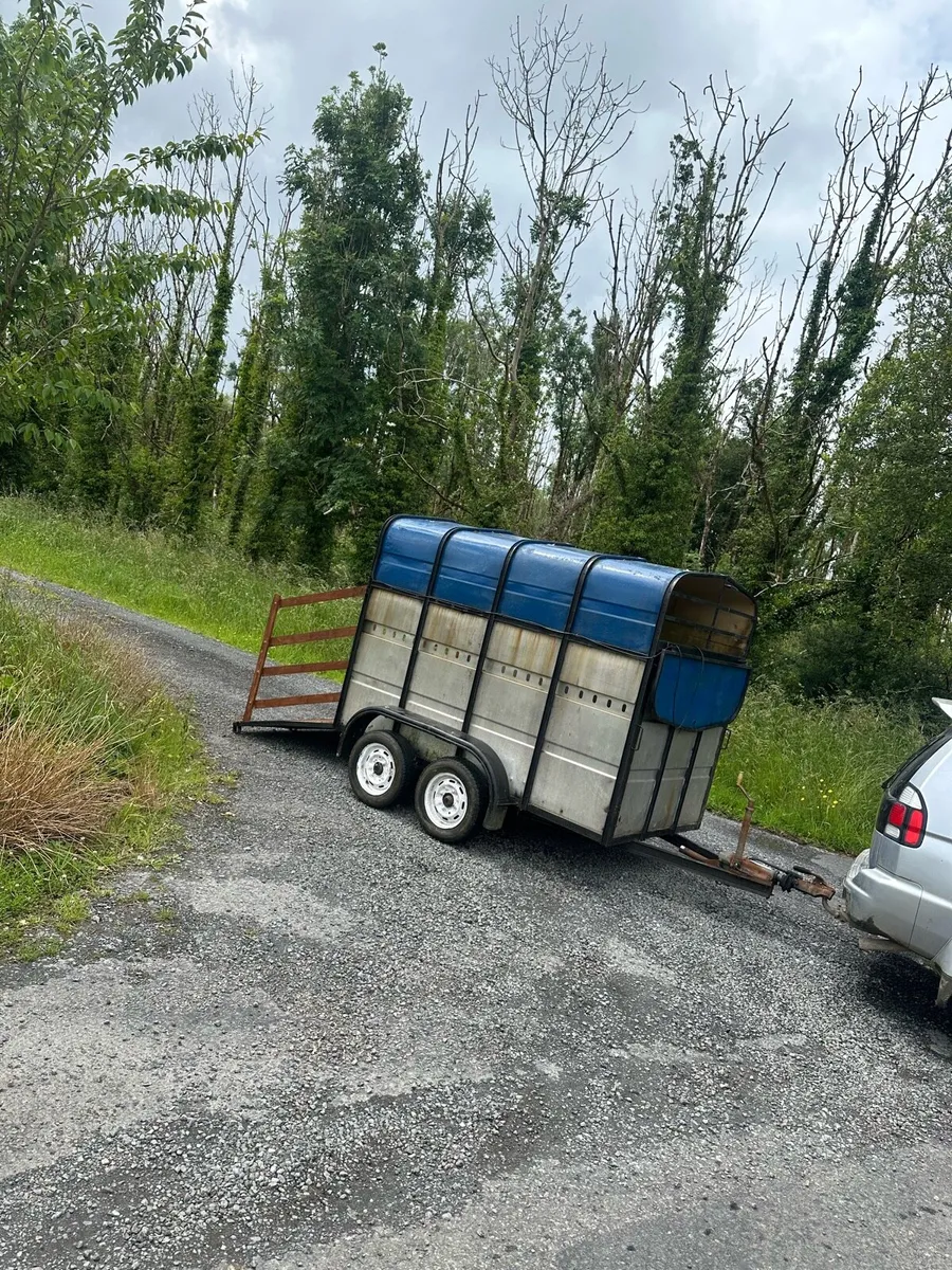 Aerlite 8x4 Cattle Box/Trailer - Good Condition - Image 1
