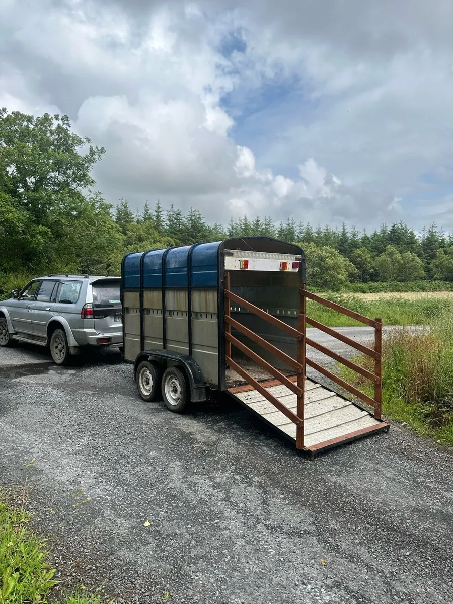 Aerlite 8x4 Cattle Box/Trailer - Good Condition - Image 2