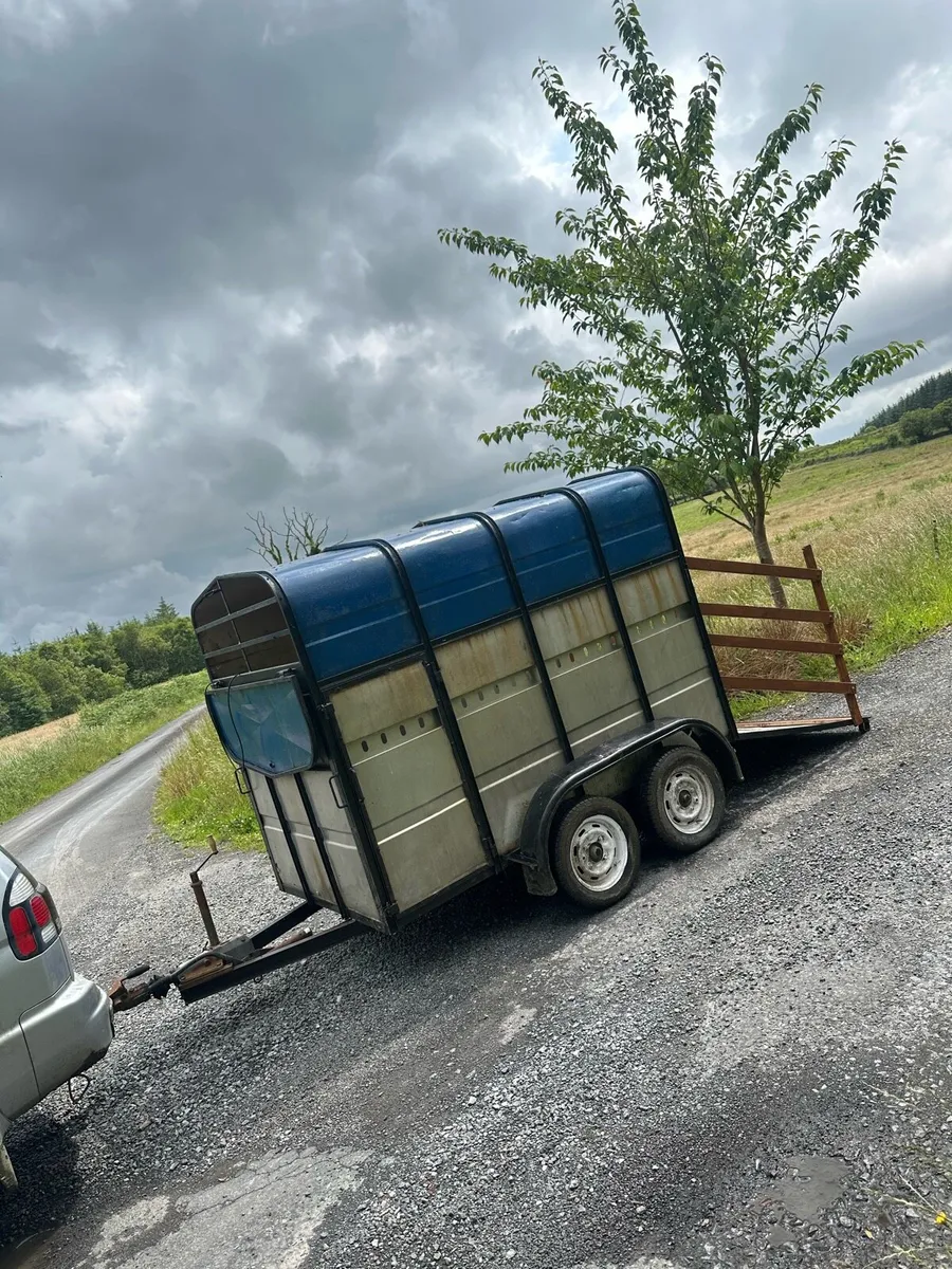 Aerlite 8x4 Cattle Box/Trailer - Good Condition - Image 3