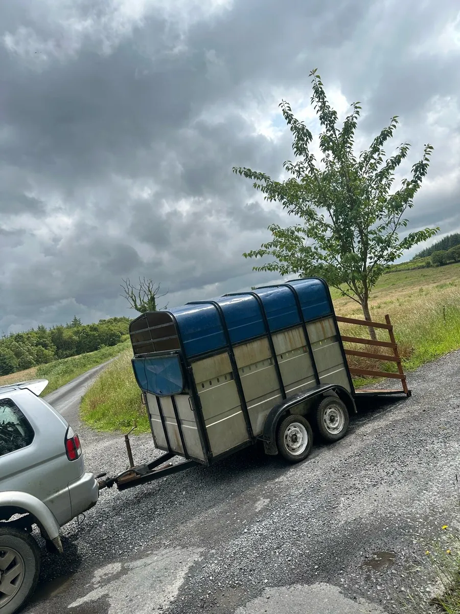 Aerlite 8x4 Cattle Box/Trailer - Good Condition - Image 4