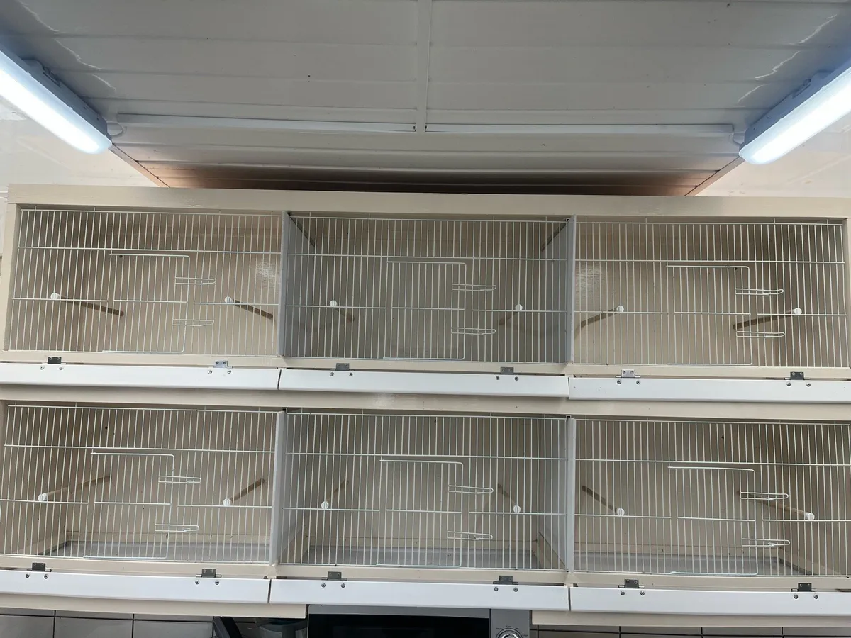 Breeding cages - Image 1