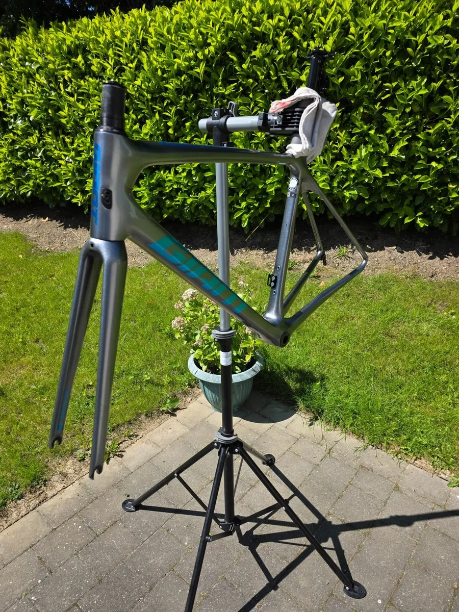 Giant TCR Advanced SL Frameset, Size Medium - Image 2