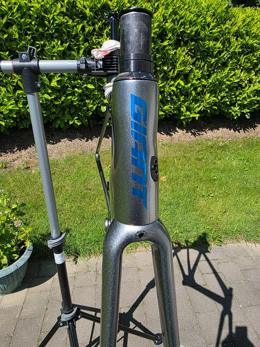 Giant TCR Advanced SL Frameset, Size Medium - Image 4