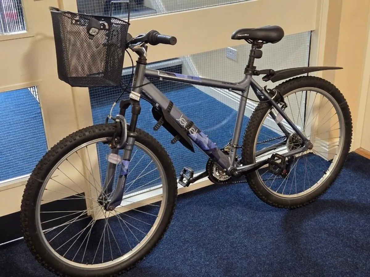 Apollo Jewel Mountain Bike - Image 1
