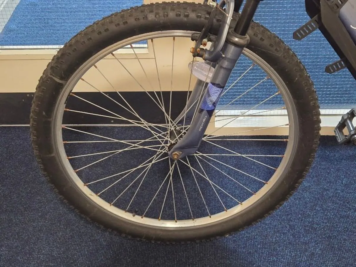 Apollo Jewel Mountain Bike - Image 3
