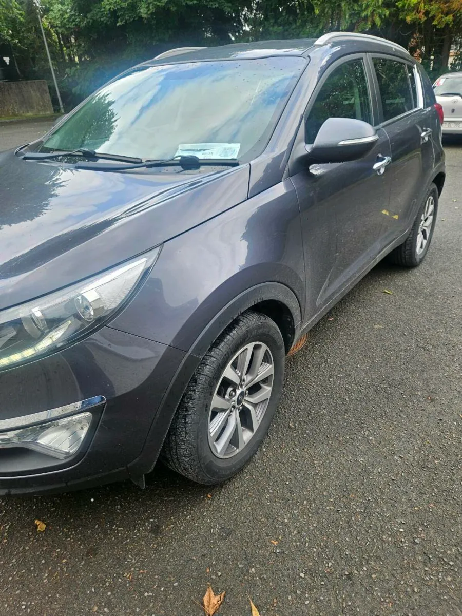 2016 SPORTAGE PLATINUM SE - Image 2