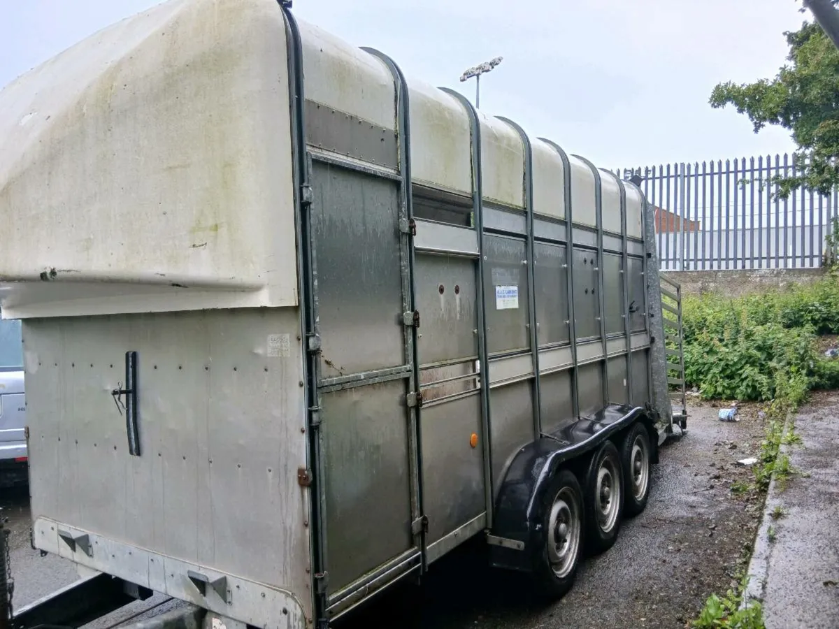 Cattle trailer - Image 2