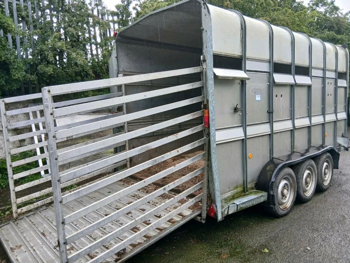 Cattle trailer - Image 3