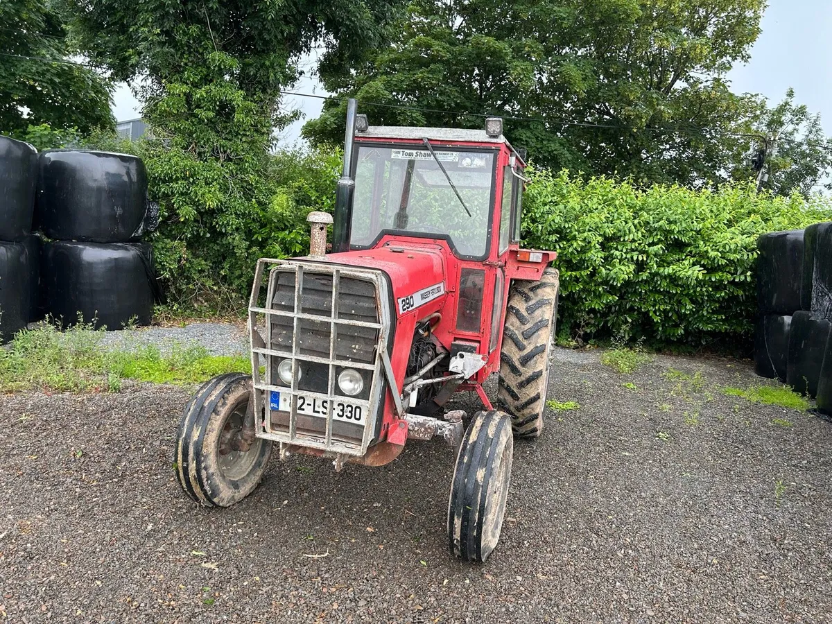Massey Ferguson 290 - Image 2