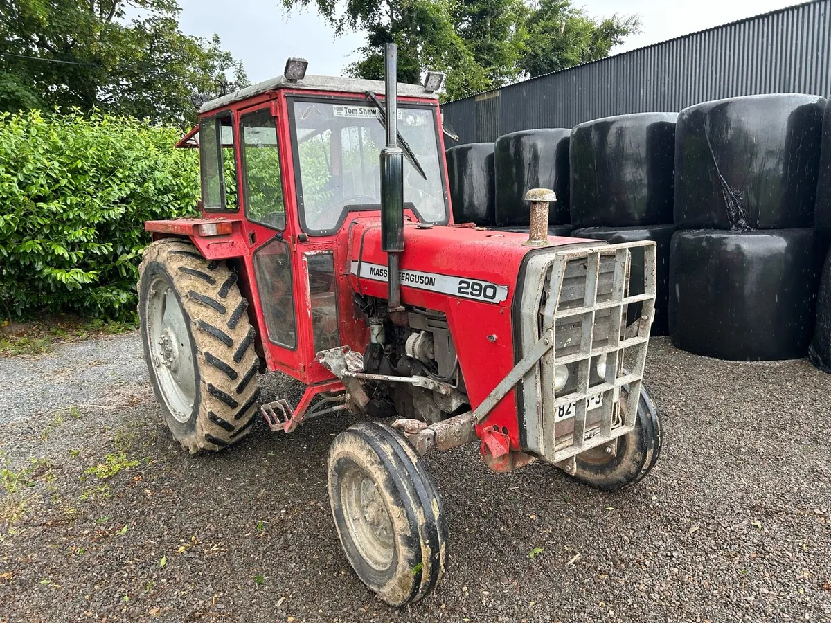 Massey Ferguson 290 - Image 3